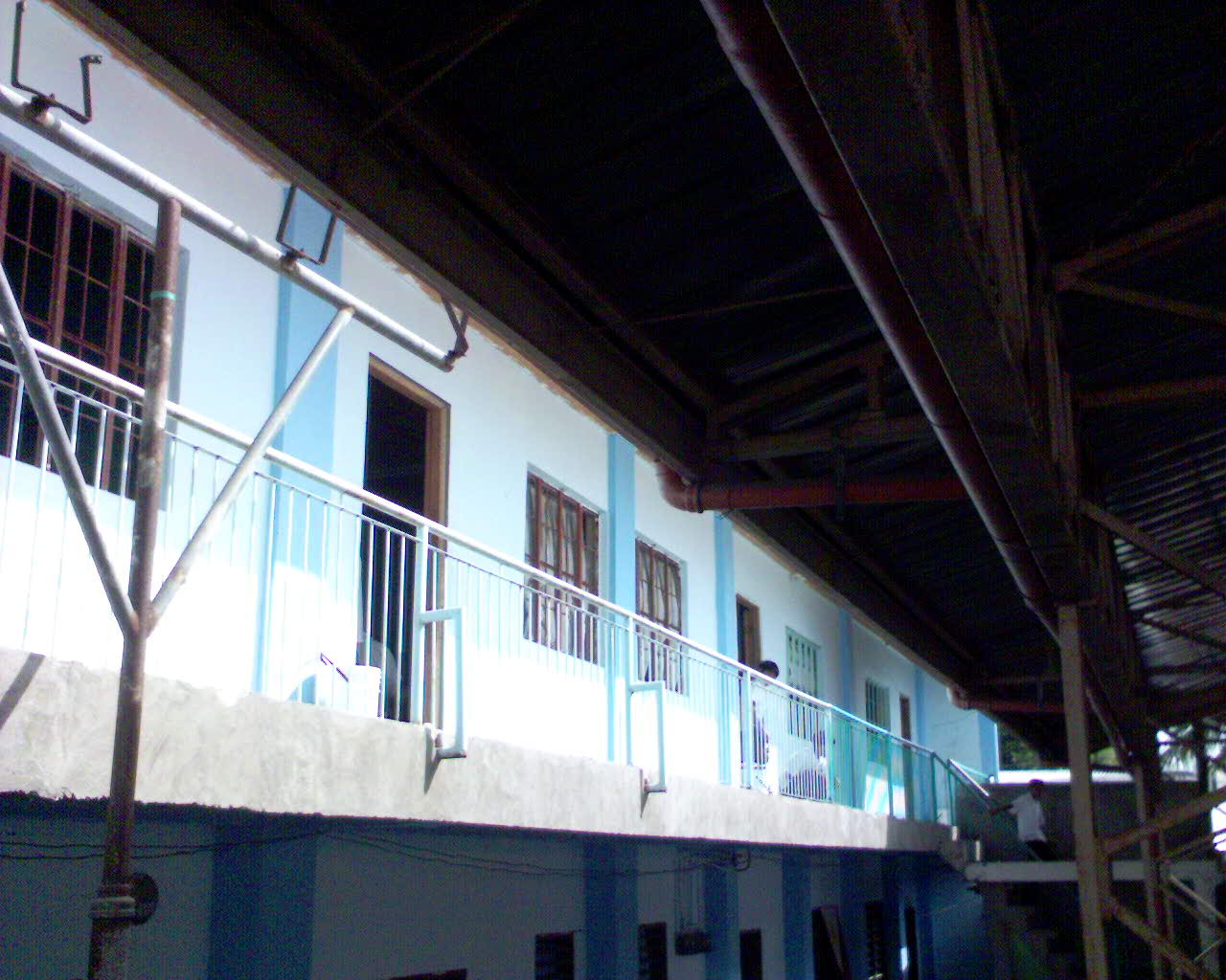 dsc00328.jpg